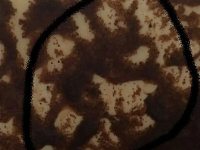 Запись на прием к гадалке в Стрежевом